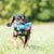 KONG Cozie Pastels Baily Dog Blue Medium