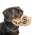 Company of Animals Baskerville Muzzle Tan Sizes 1-10