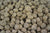 Trusty Pet Supplies Beef Dry Dog Food