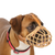 Company of Animals Baskerville Muzzle Tan Sizes 1-10
