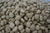 Trusty Pet Supplies Premium Adult Lamb and Rice
