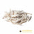 Kiezebrink Raw Dog Food - Smelt IQF