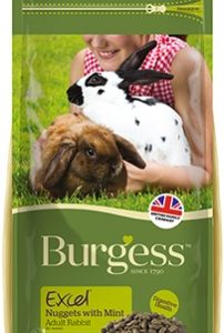 burgess-excel