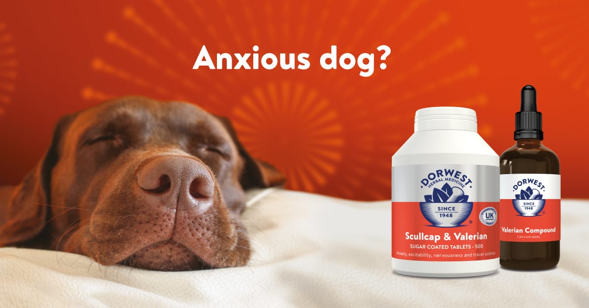 Pet Supplies Derby Pet Shop Derby Pet Food Trusty Pet Supplies