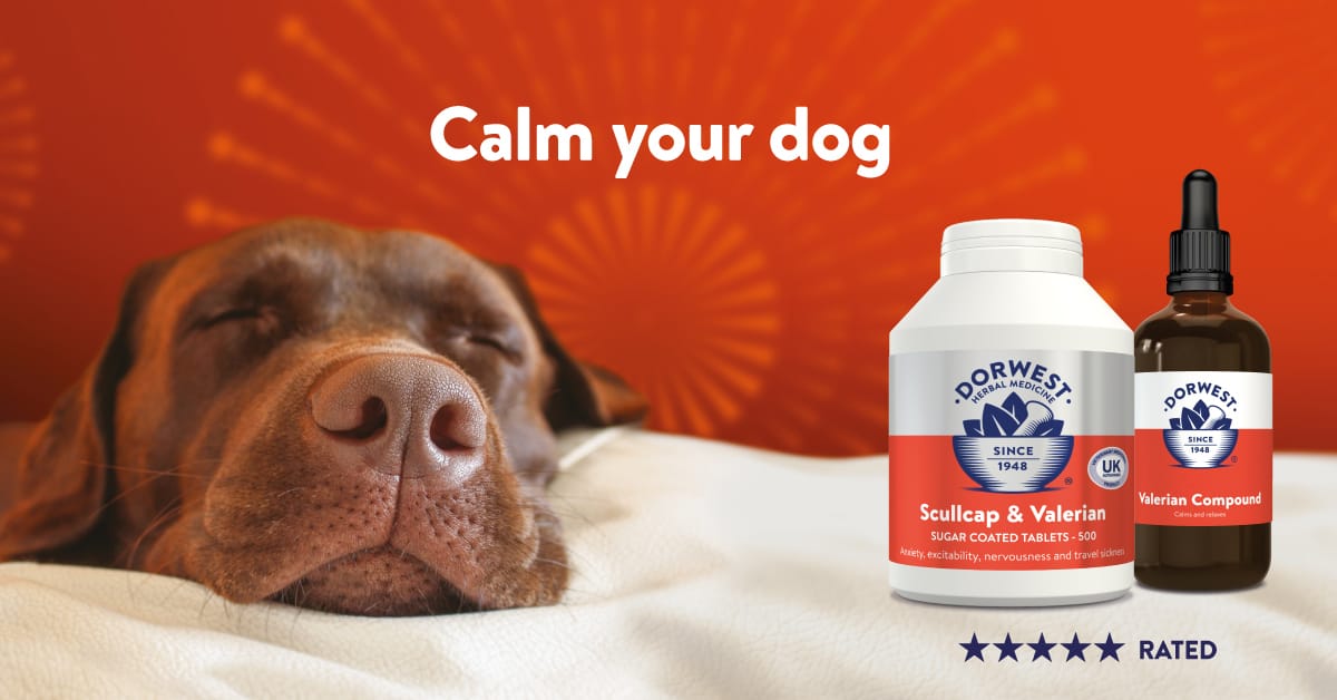 Pet Supplies Derby Pet Shop Derby Pet Food Trusty Pet Supplies