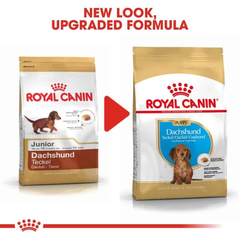 Royal Canin Dachshund Puppy Review