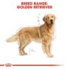 Royal Canin Golden Retriever Adult Dry Dog Food