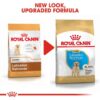 Royal Canin Labrador Retriever Puppy Dry Food