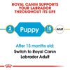 Royal Canin Labrador Retriever Puppy Dry Food