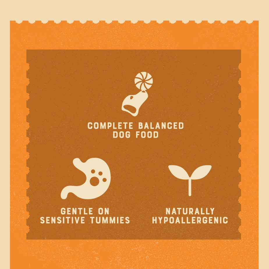 James Wellbeloved Turkey with Rice and Vegetables Senior