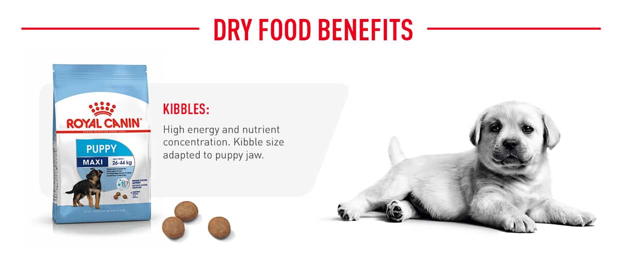 Royal Canin Maxi Puppy Dry Dog Food