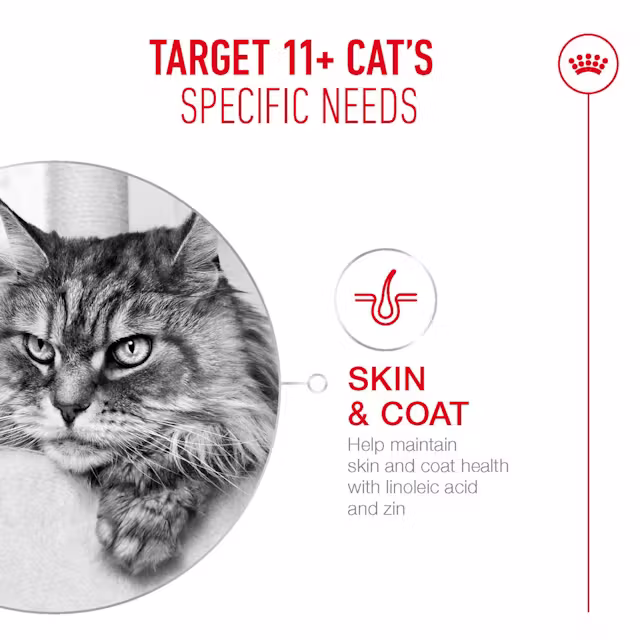 Royal Canin Ageing 11+ Senior In Jelly Wet Cat Food - Image 4