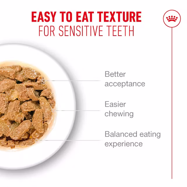 Royal Canin Ageing 11+ Senior In Jelly Wet Cat Food - Image 5