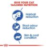 Royal Canin Indoor Long Hair Dry Adult Cat Food