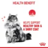 Royal Canin Hair & Skin In Gravy Adult Wet Cat Food - Image 3