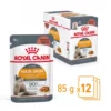 Royal Canin Hair & Skin In Gravy Adult Wet Cat Food - Image 5