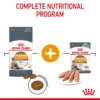 Royal Canin Hair & Skin In Gravy Adult Wet Cat Food - Image 6