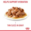 Royal Canin Hair & Skin In Gravy Adult Wet Cat Food - Image 4