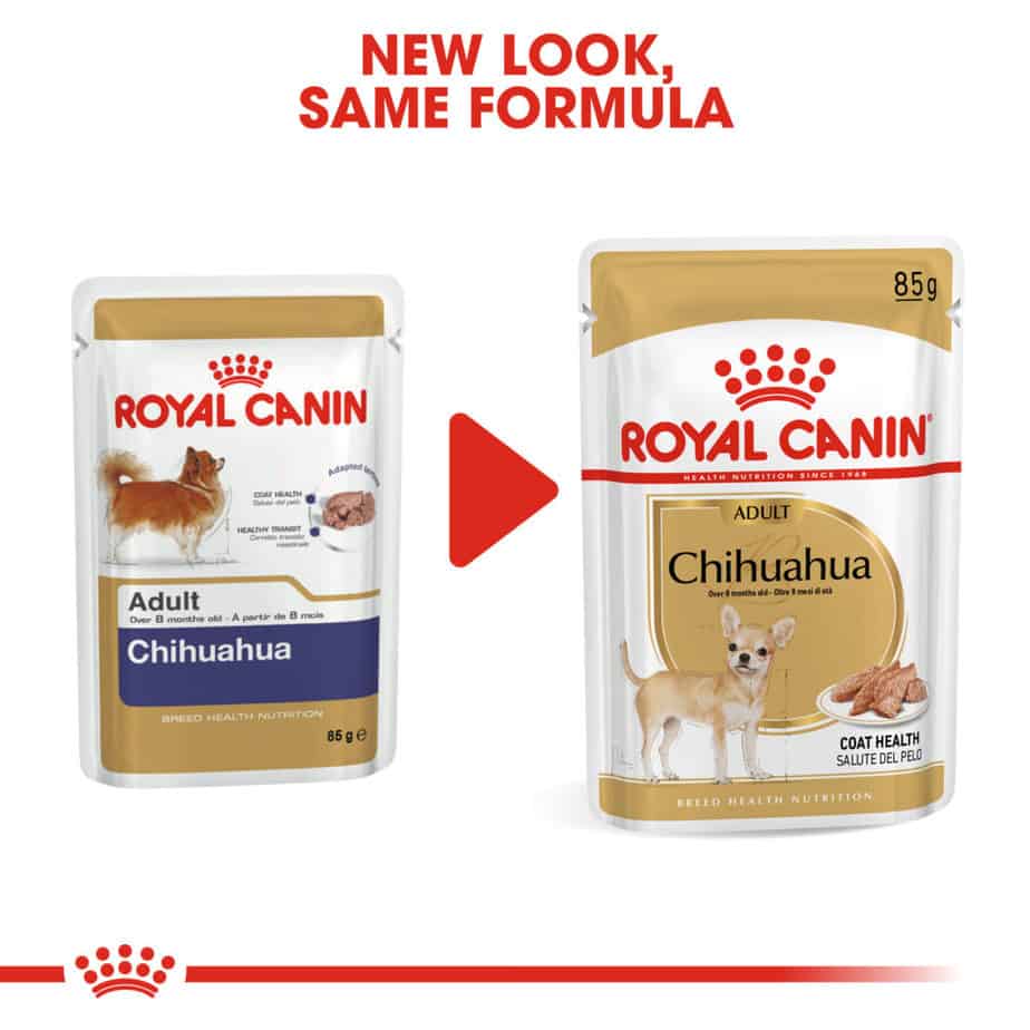 Royal Canin Chihuahua Adult Wet Dog Food Trusty Pet Supplies