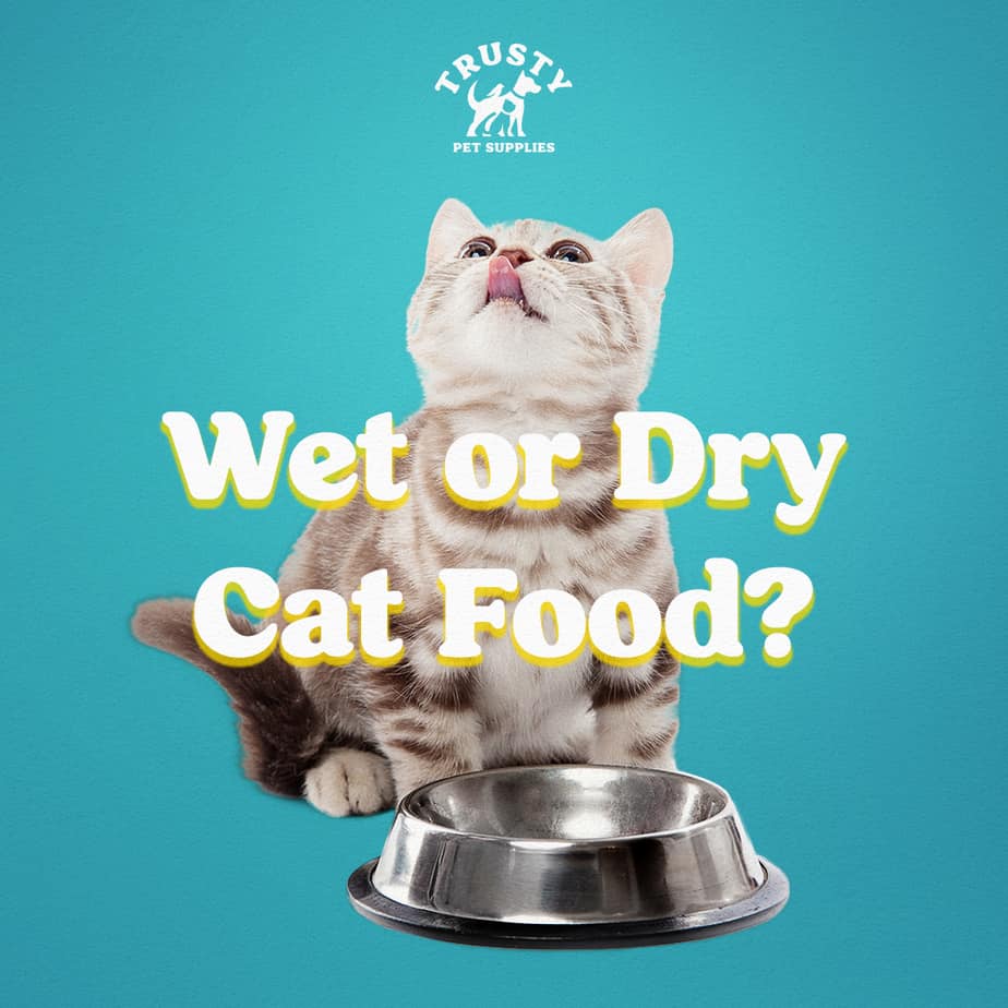 Wet or Dry Cat Food? Trusty Pet Supplies