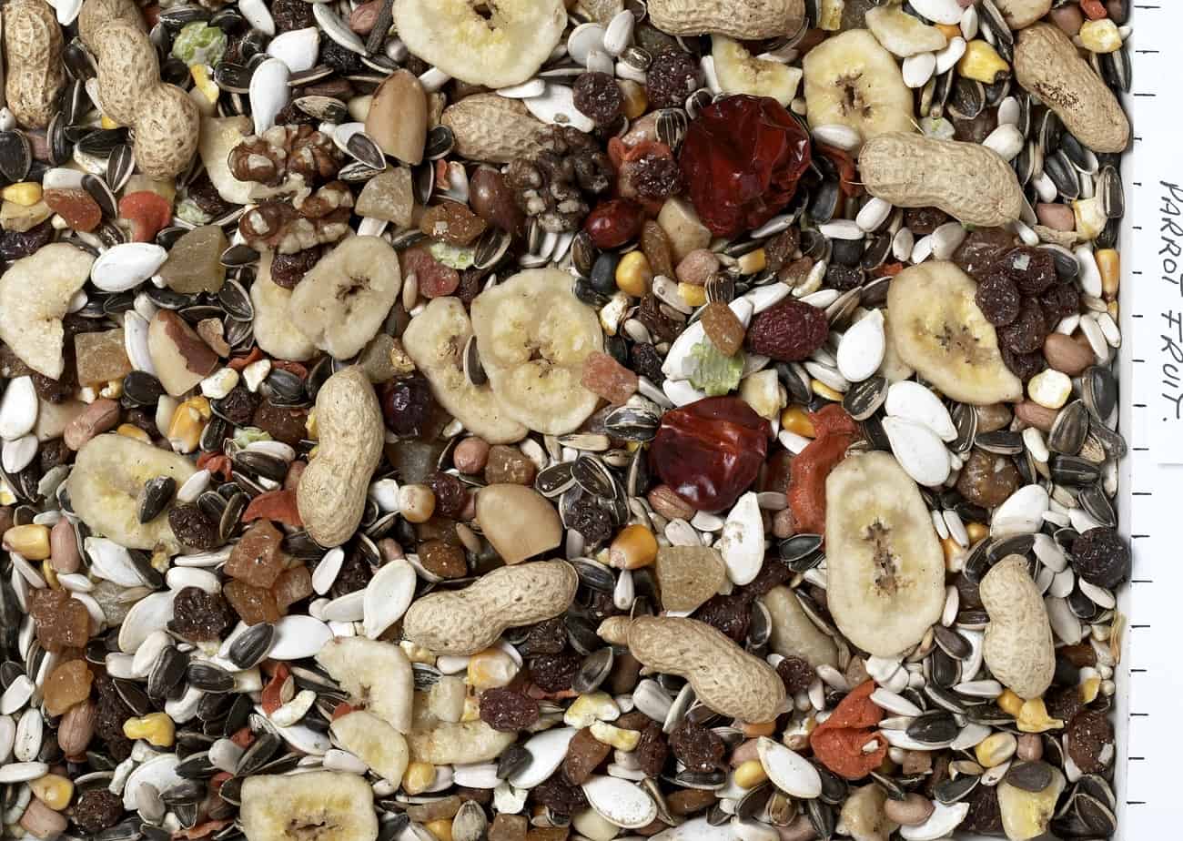Johnston & Jeff Premium Fruity Parrot Seed Food Caged Bird Trusty Pet Supplies Johnston & Jeff Premium Fruity Parrot Seed Food Caged Bird Trusty Pet Supplies