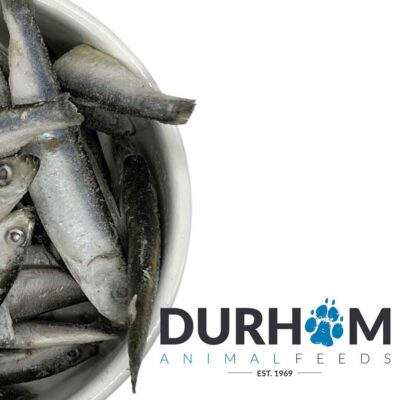 DAF Sprats