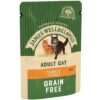 James Wellbeloved Wet Adult Cat Grain Free Turkey