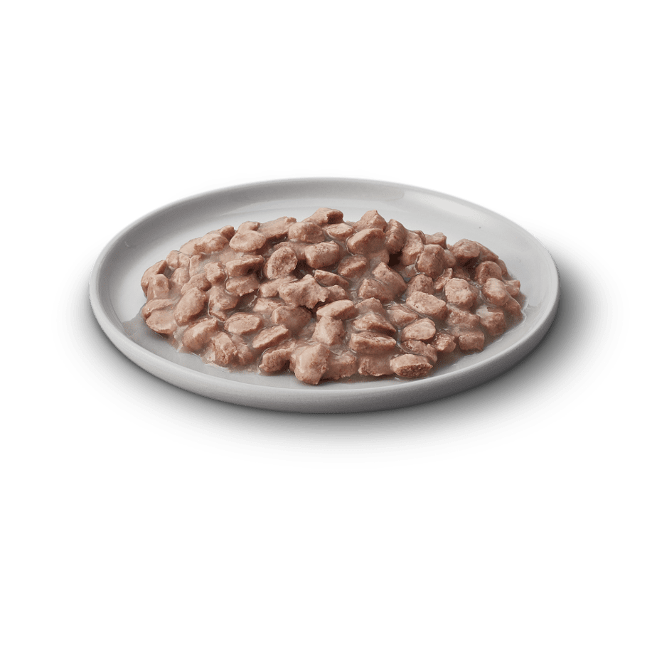 James Wellbeloved Wet Kitten Grain Free Turkey