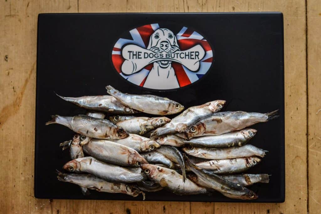 The Dogs Butcher Raw Dog Food Whole Seasonal Oily Fish 1kg Trusty