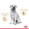 Royal Canin Labrador Adult Wet Dog Food