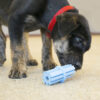KONG Puppy Teething Stick - Image 5