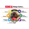 KONG Puppy - Image 11