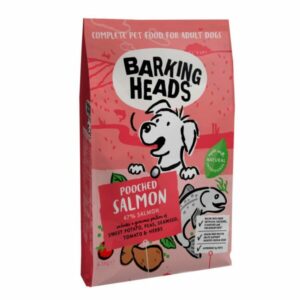 Top Dog Food Ingredients for a Shiny Coat