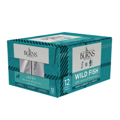 Front-and-top view of a teal Burns Wild Fish dog food box for adult and senior dogs (12 trays) with label 'Wild Fish' and icons.