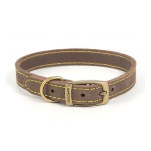 Collar pic