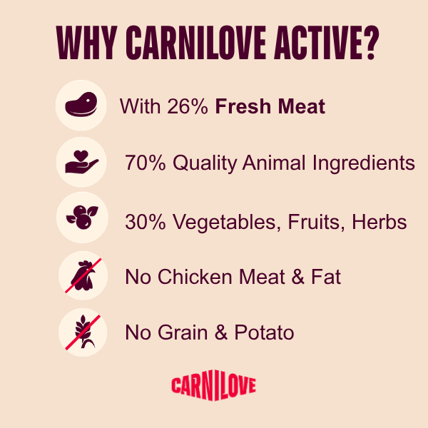 Carnilove Active Salmon & Turkey Dry Dog Food - Image 4