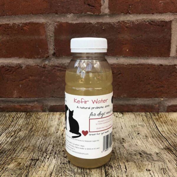 Boil & Broth Kefir Water