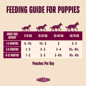 Feeding guide for puppies: table of pouches per day by puppy age (1–3, 3–6, 6–12 months) and predicted adult weight (5–70 kg).