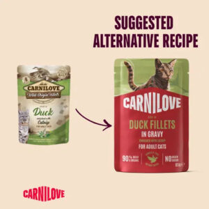 Side-by-side Carnilove cat food pouches with an arrow pointing from a green duck-flavored pouch to a red Duck Fillets in Gravy pouch, under the heading 'Suggested Alternative Recipe'