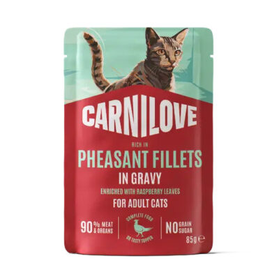 Stand-up pouch of Carnilove cat food featuring a cat on turquoise and red packaging; reads 'Pheasant Fillets in Gravy for Adult Cats'.