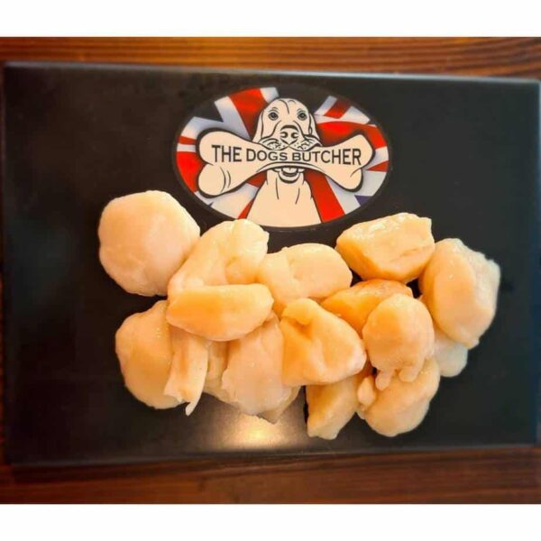 TDB Scallops