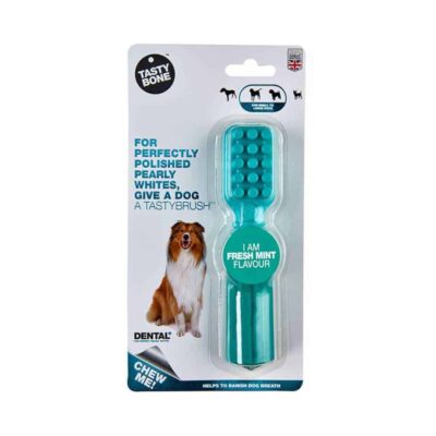 TastyBone Dental Fresh Mint TastyBrush Chew Toy