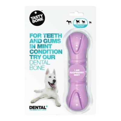 TastyBone Dental Bone Raspberry Mint Flavour Chew Toy
