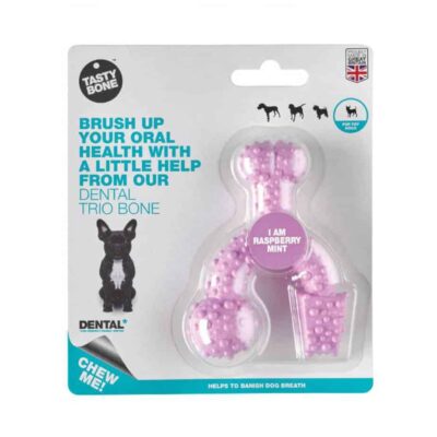 TastyBone Dental Trio Bone Raspberry Mint Flavour Chew Toy