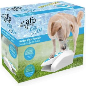 AFP Water Fountain