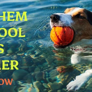 Stay Cool Banner