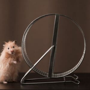 Hamster,Stands,Next,To,The,Wheel