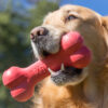KONG Goodie Bone™ - Image 4