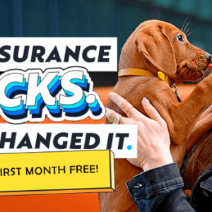 Waggel Pet Insurance at Trusty Pet Supplies