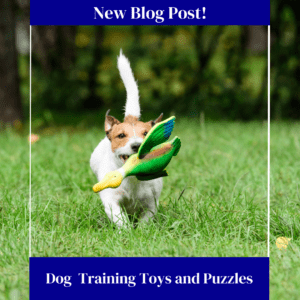 Dog with toy in mouth